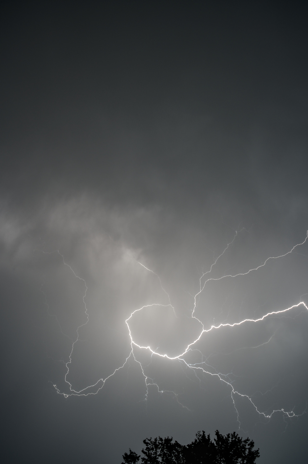 Photo of a large, somewhat circular lightning flash in the sky. In the bottom of the frame, you can see the top of a tree.