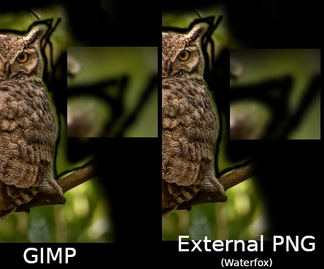 Side-by-side comparison of an image (depicting a photography of a Lesser Horned Owl perched on a thin branch before a daylight-lit green background, but the picture is merely a random (actually, not so random) choice of mine and the problem can be reproduced with any kind of picture) which received a manual transparency mask (I roughly followed the contours of the owl) and was then exported to PNG. The leftmost is the picture seen from inside GIMP, with a solid black background added during screenshot so to make it easier to see the low transparency regions. The rightmost is the same picture, exported to PNG and seen from Waterfox, with a "background: black" added to the Firefox's native image viewer. There are some noticeable discrepancies when it comes to the transparency: the transparency strokes are thicker in the PNG; a small, faint green triangular region (an intersection between two transparency strokes) is missing from the PNG but visible in GIMP.