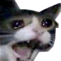 emoji kitty-cri-screm kitty-cri-screm