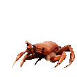 emoji crab-party crab-party