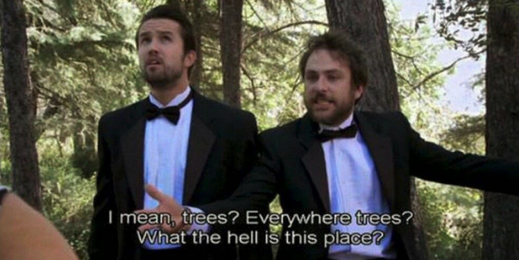 trees.png