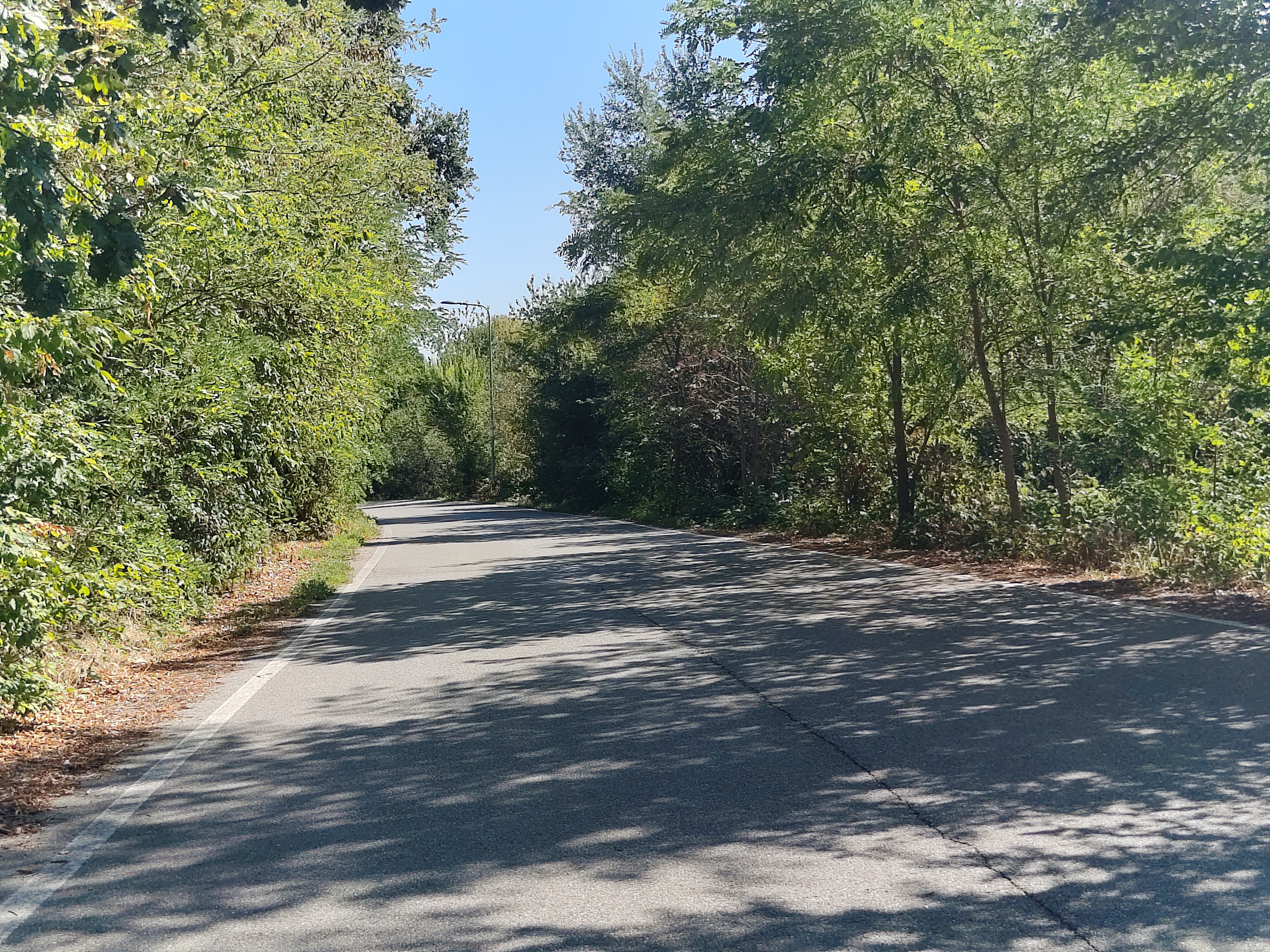 The road