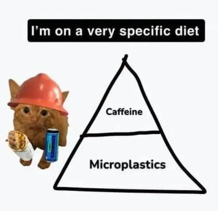 Rule cuisine 
