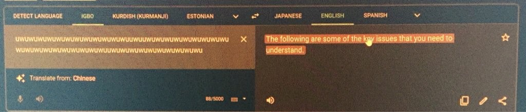 Google Translate receiving a string of "uwu"s and translating it from Igbo to English as "The following are some of the key issues that you need to understand."