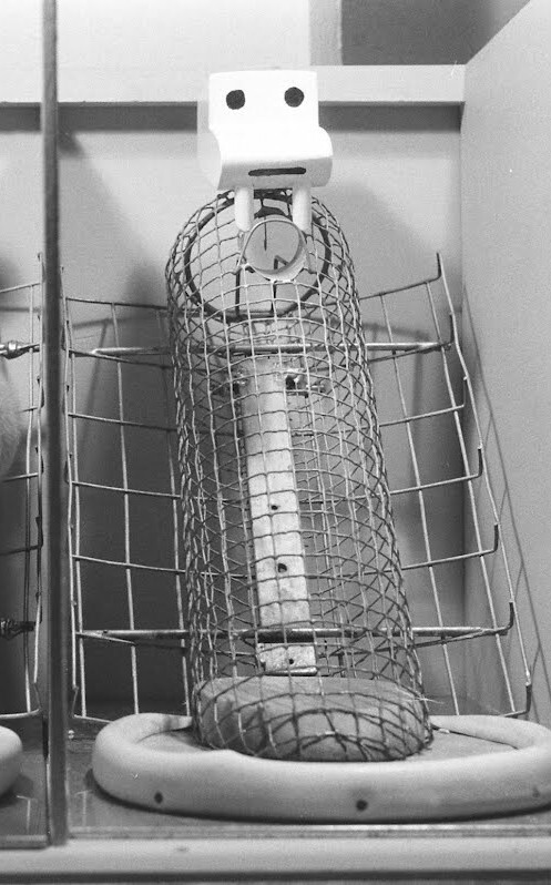 The Wire Mother from Harry Harlow's infamous experiment