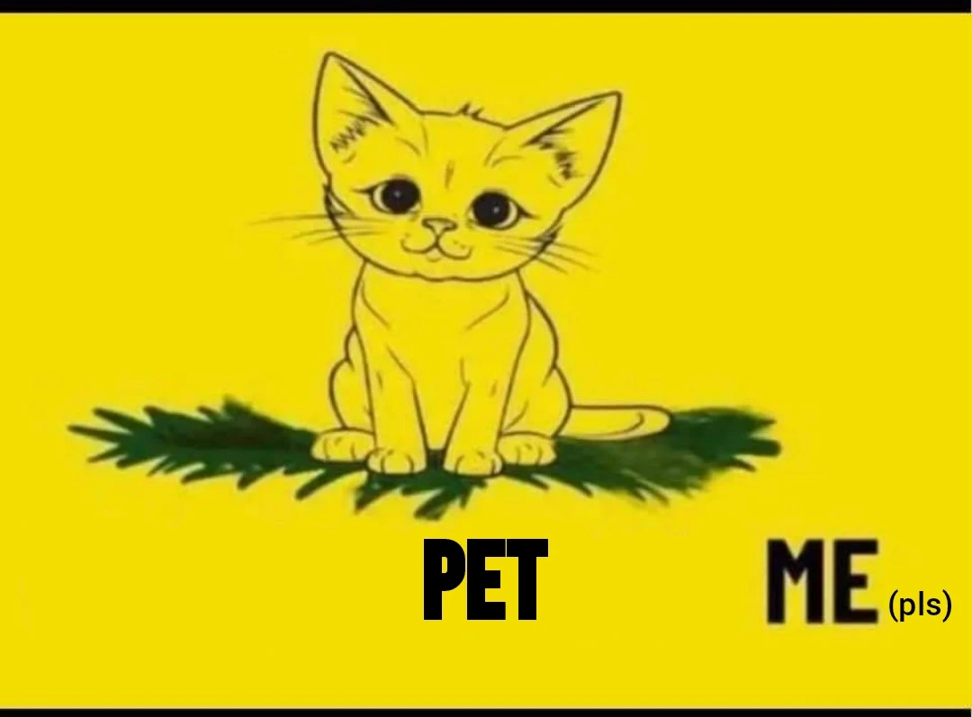 the "don't tread on me" flag but the snake is replaced by a kitty and the text was edited to "don't snack on me" and then edited to "pet me (pls)"