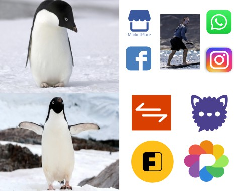 Disapointed Penguin Mark Zuckerberg surfing awkwardly with too much sunscreen on his face "Facebook, Instagram, Marketplace, Messager"  Penguin pleased "Friendica, Pixelfed, Flohmarkt and Fluffy Chat"