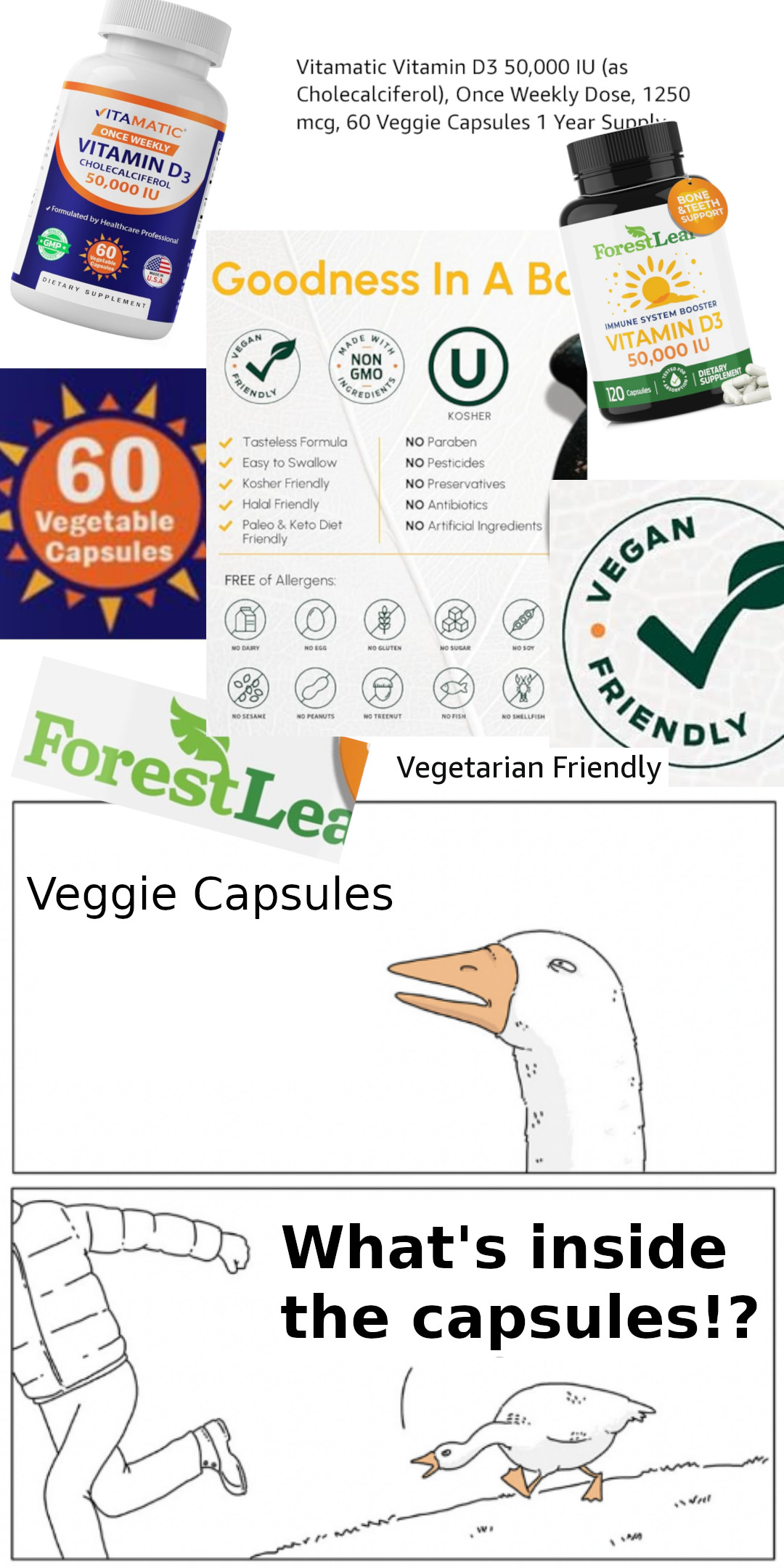 Chasing goose meme: Vitamin D3; Veggie capsules; Vegetarian friendly; Vegan friendly; Goose: What's inside the capsules!?