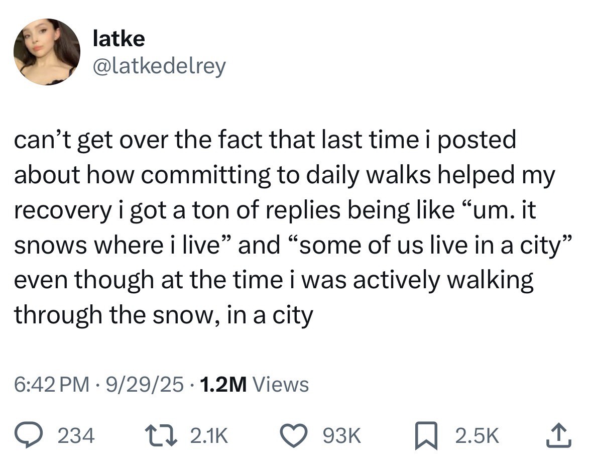 meme, snow, city, walkable, commute