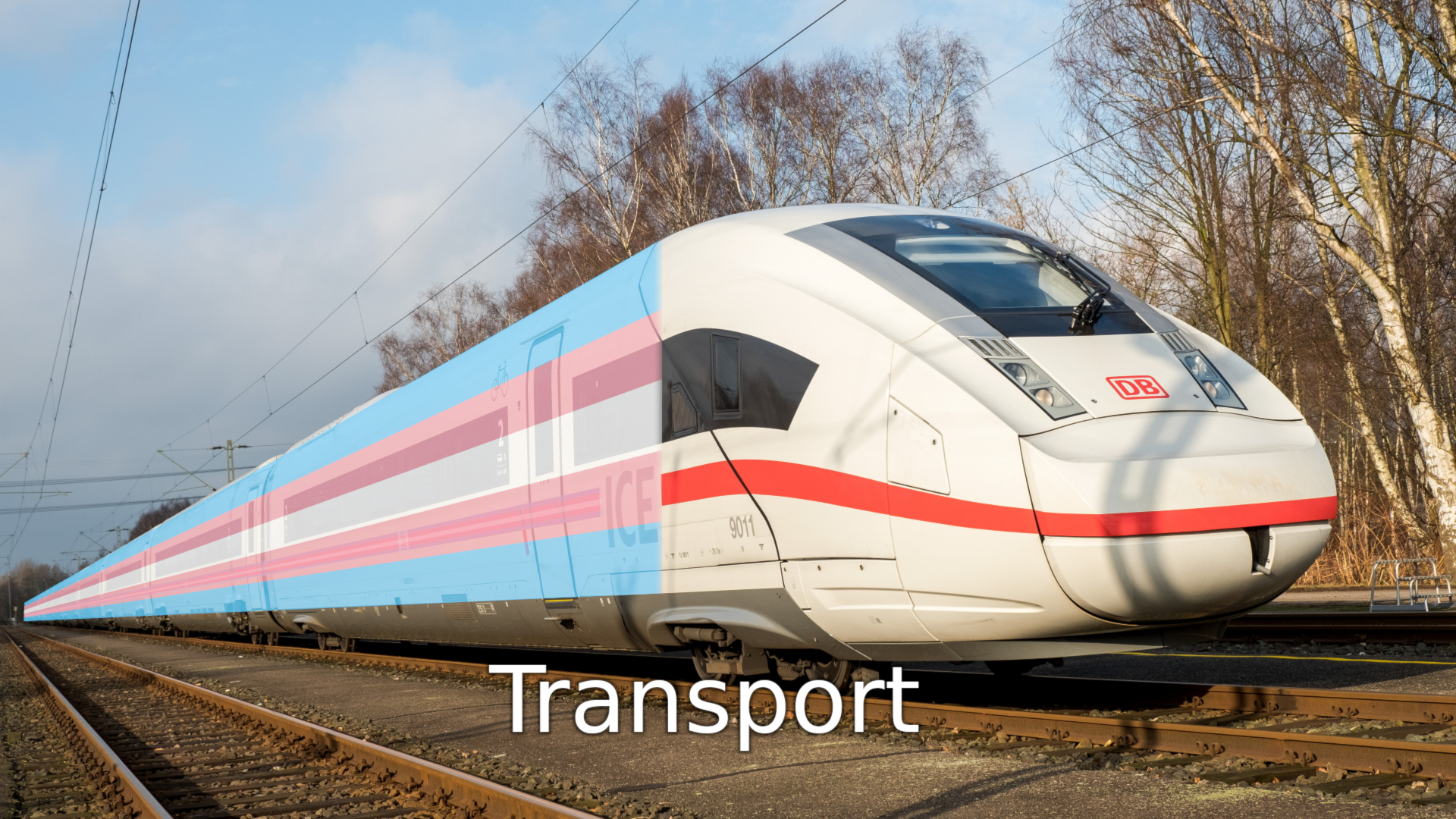 ICE mit Transflagge. Schrift unten: "Transport"