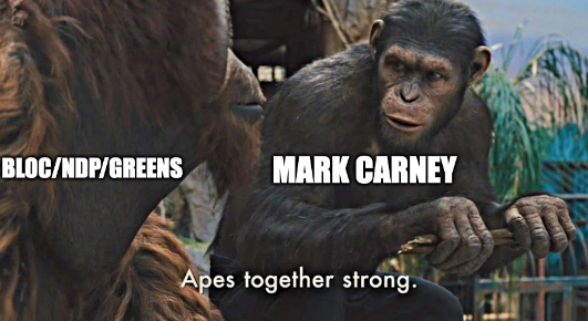 Ape together strong Meme "Mark Carney" to "Bloc/NDP/Greens"