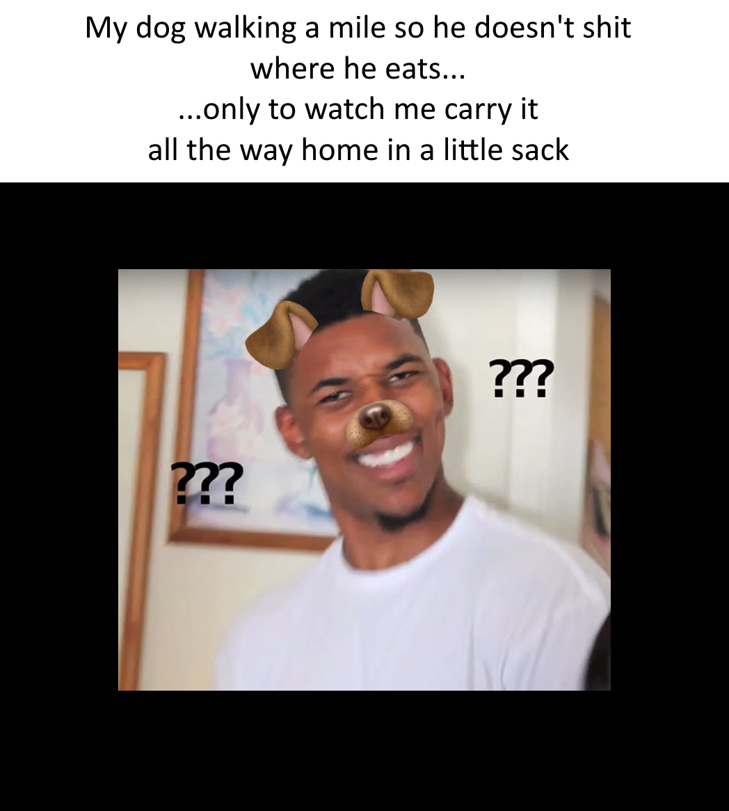 Confused Nick Young meme, with the following caption: My dog walking a mile so he doesn't shit where he eats... only to watch me carry it all the way home in a little sack