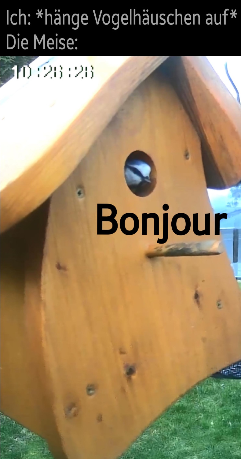 Text: „Ich: *hänge Vogelhäuschen auf*
Die Meise:“
Darunter ist eine Meise zu sehen, die aus dem Eingang eines Vogelhäuschens schaut. Darunter der Text: „Bonjour“