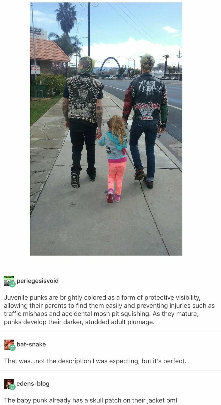 Picture of two punks holding hands with a small girl dressed in very colorful clothing. "Juvenile punks are brightly colored as a form of protective visibility, allowing their parents to find them easily and preventing injuries such as traffic mishaps and accidental mosh pit squishing. As they mature, punks develop their darker, studded adult plumage."