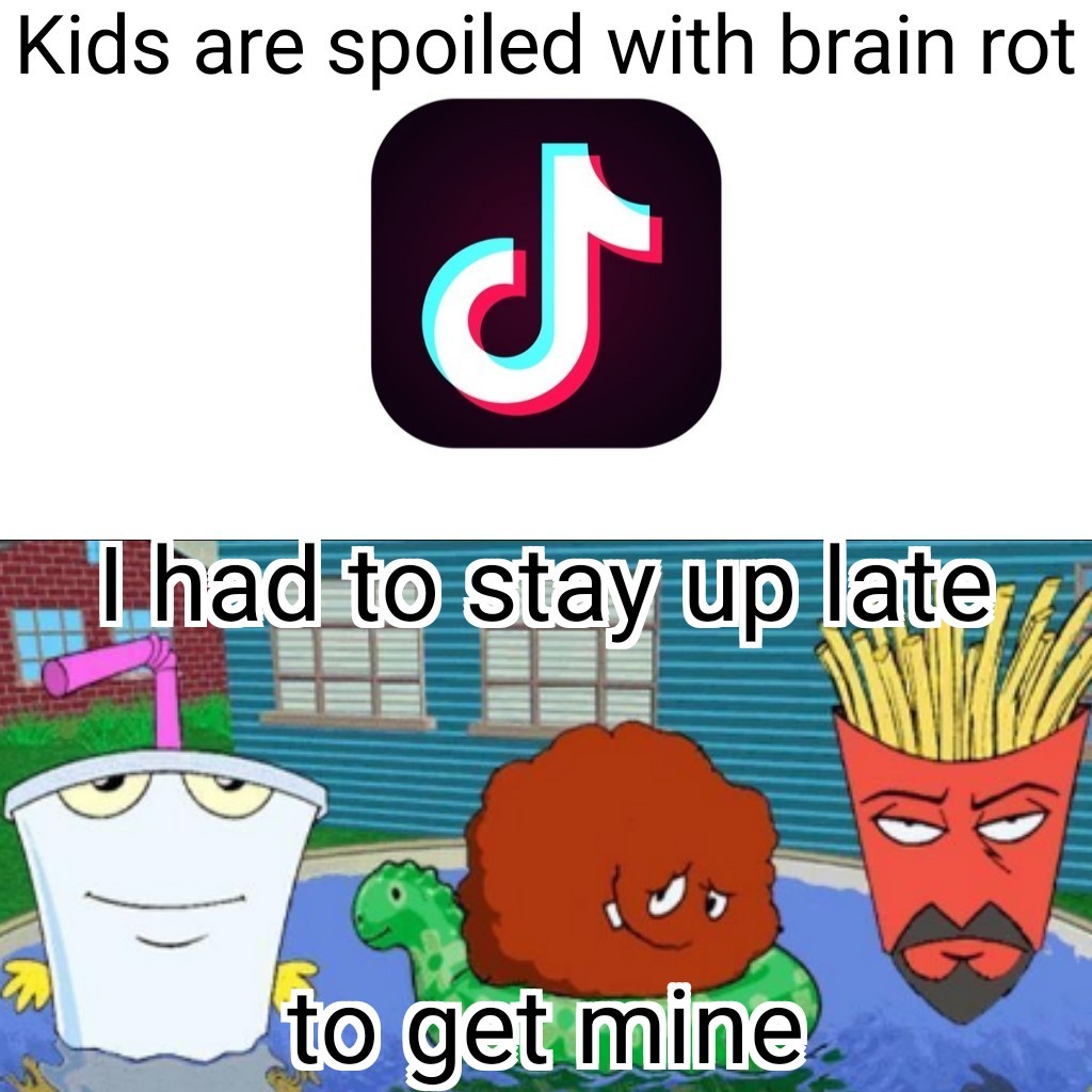 Top image is the tiktok logo. Bottom image is Aqua Teen Hunger Force. Text reads: "Kids are spoiled with brainrot I had to stay up late to get mine"