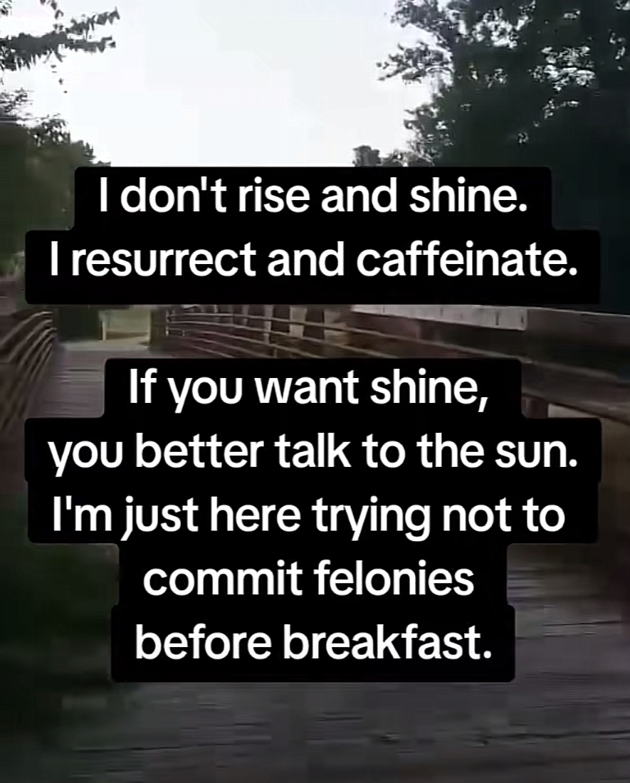  don't rise and shine.
I resurrect and caffeinate.
If you want shine,
you better talk to the sun.
I'm just here trying not to commit felonies before breakfast.