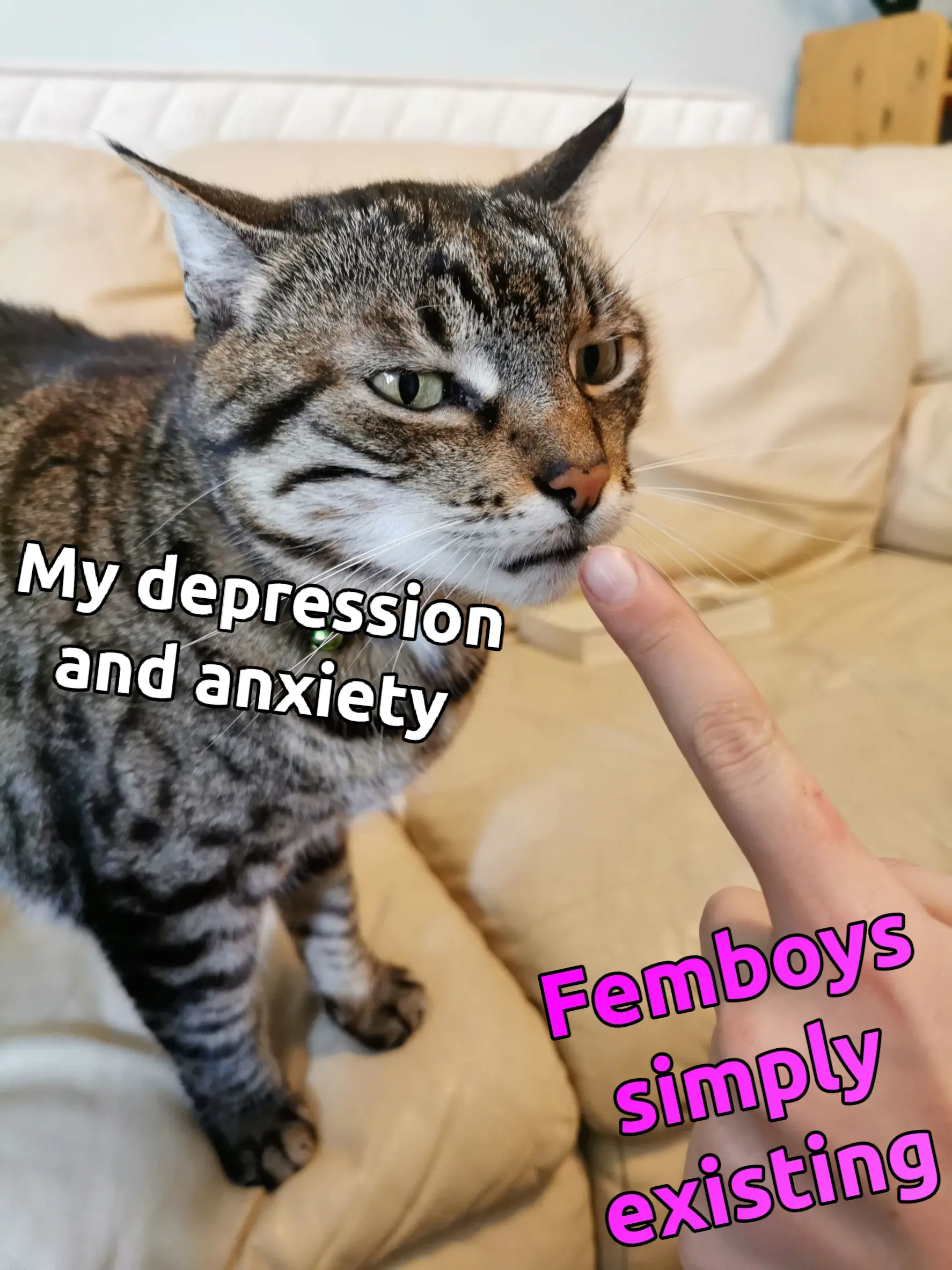"My depression and anxiety" - the cat. A finger pointing at it with the text saying "femboys simply existing"
