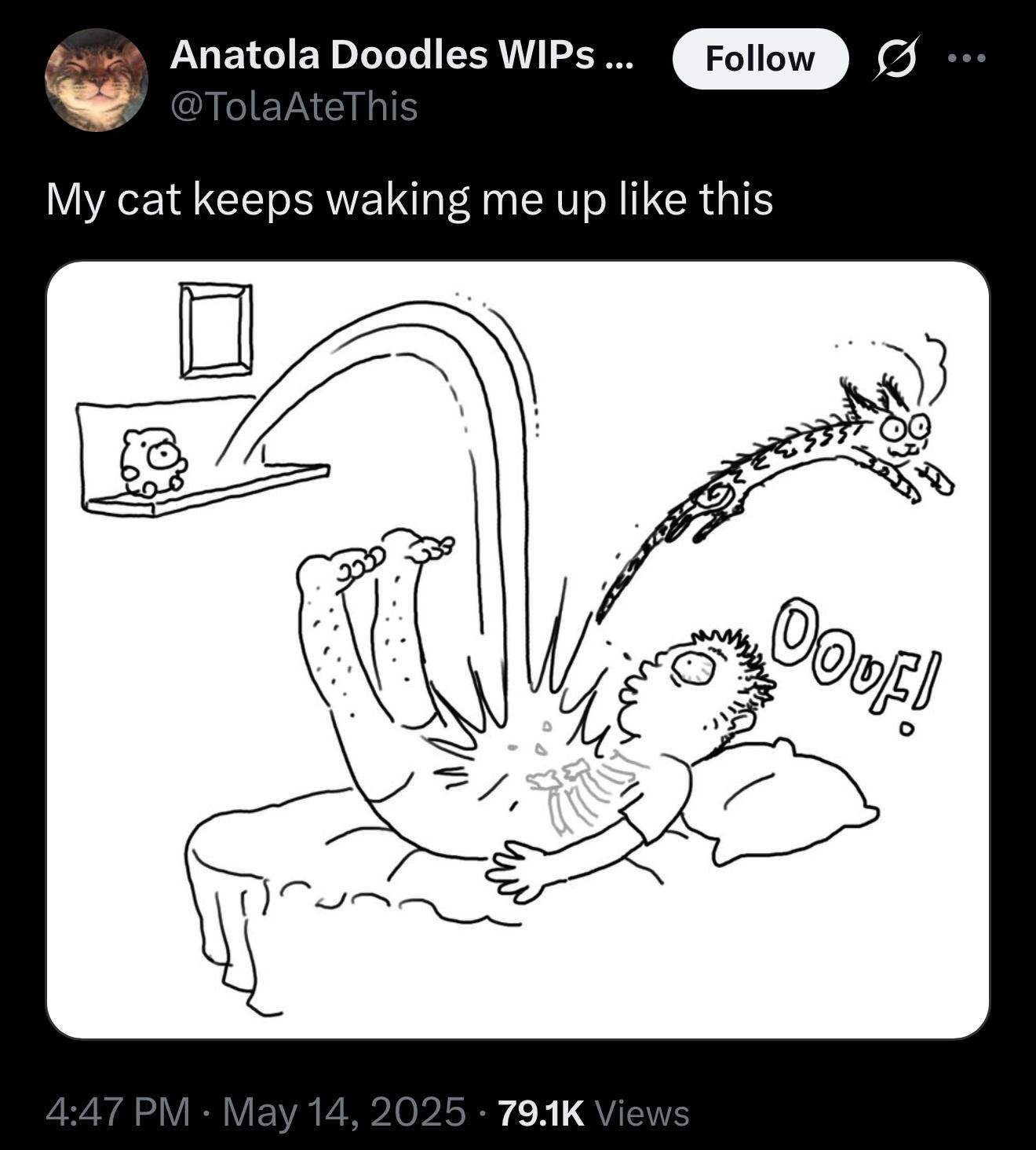 @TolaAteThis tweets: My cat keeps waking me up like this. A picture shows a cat jumping down from a shelf, onto a sleeping person’s stomach, and bouncing away 