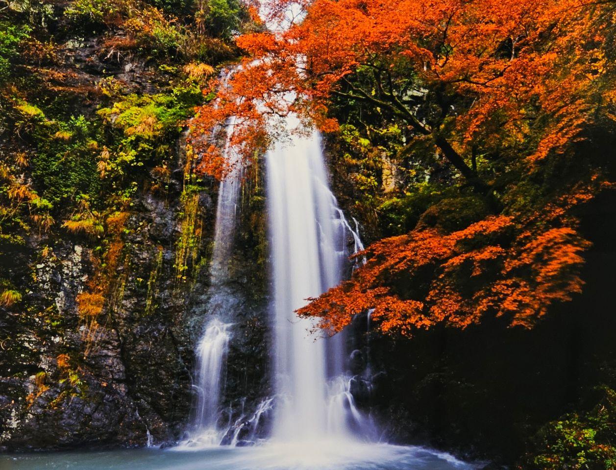 Picture shows waterfall surrounded by trees in fall color transition. 