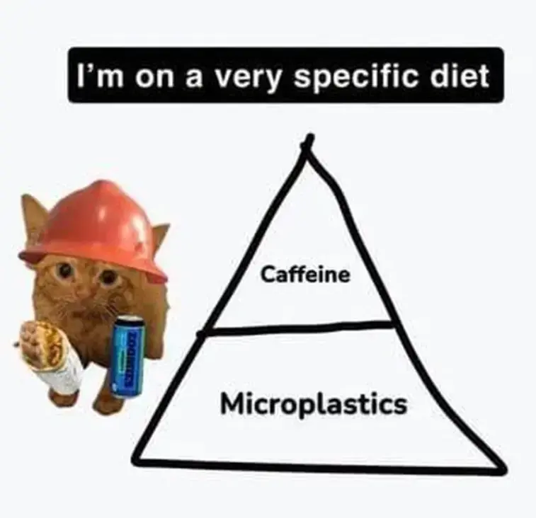 A cat with a hard hat, burrito and energy drink. Next to it is a pyramid with the words "caffeine" and "microplastics" in it. It has the caption "I'm on a very specific diet"