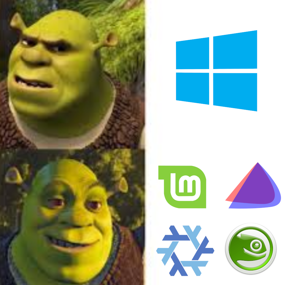 Shrek displeased with windows 11 then Shrek pleased with Mint, OpenSUSE, NIX and Endeavour.