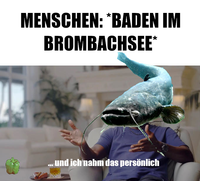 Maimai: Menschen baden im Bromachsee. Michael Jordans alter ego der Wels nahm das persönlich.