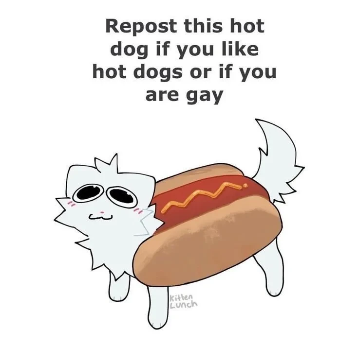 cute cat in a hot dog costume with the caption "repost this hot dog if you like hot dogs or if you are gay"