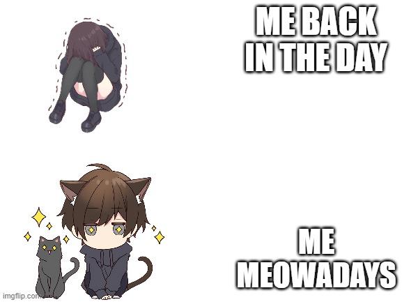 An image of a scared girl, the text beside her says "Me back in the day." Below it, an image of a catboy and a cat with starry eyes, and the text next to the catboy says "Me meowadays."