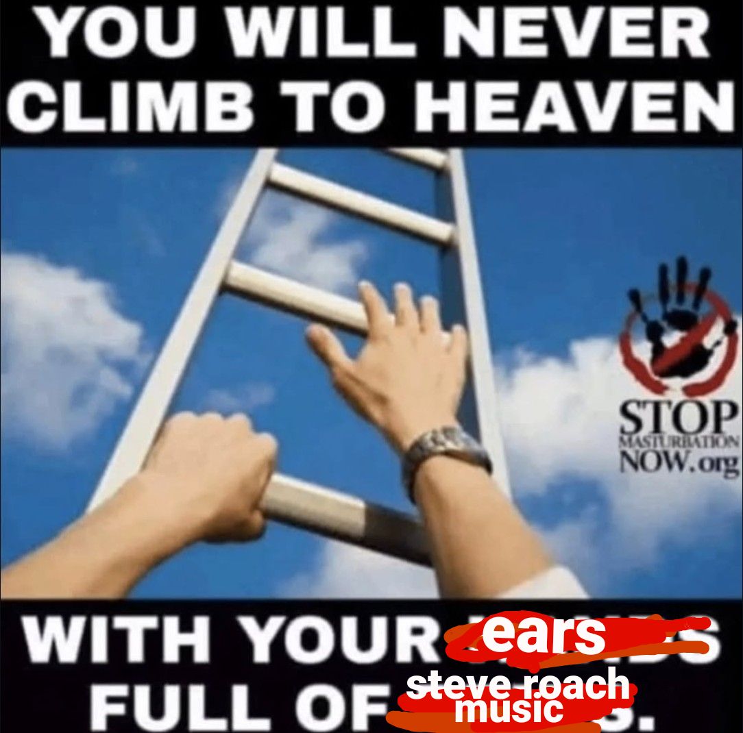 Picture of hands climbing up a ladder captioned "you'll never climb to heaven with your ears full of steve roach music" with the stopmasturbationnow.org watermark