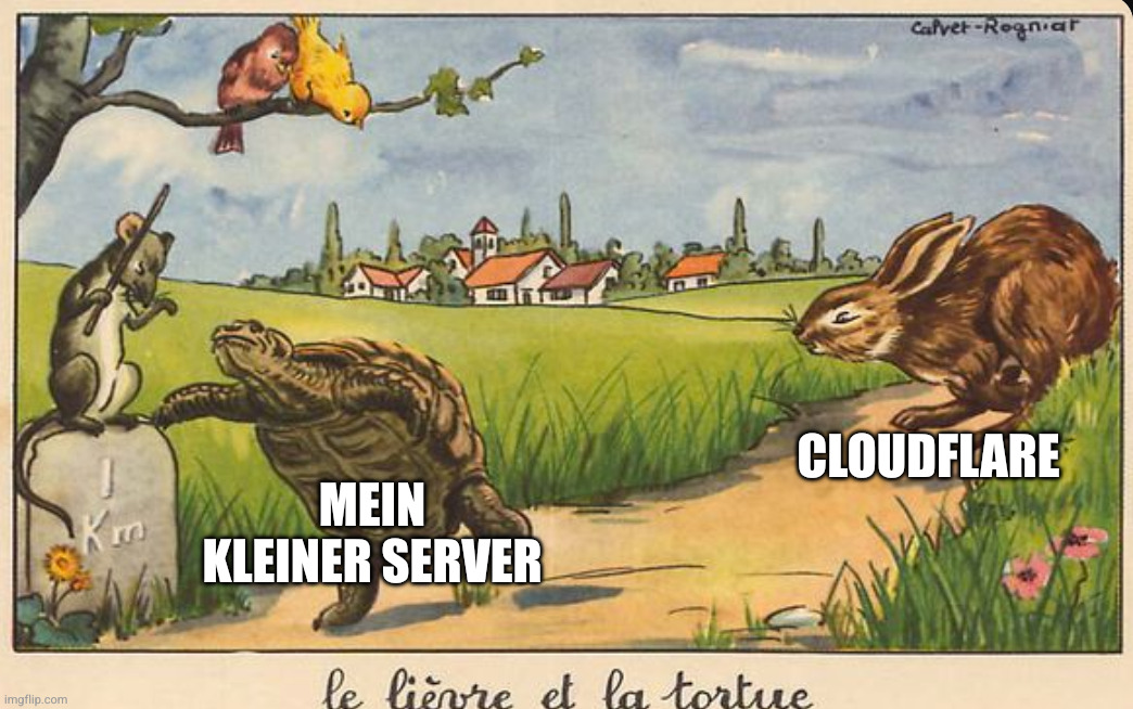 Die Schildkröte und der Hase beim Rennen. Der Hase trägt die Kennzeichnung "Cloudflare" und die gewinnende Schildkröte "mein kleiner Server".