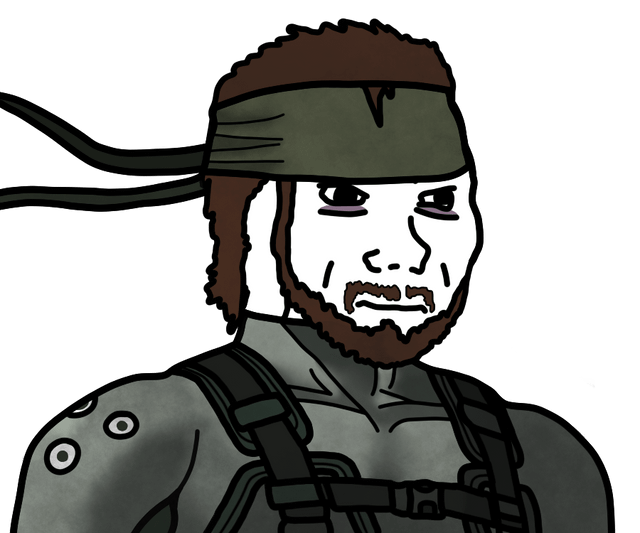 A soyjak that looks like Solid Snake. This is notably not the profile picture of SoylentSnake because I could not find it and just chose a similar one.