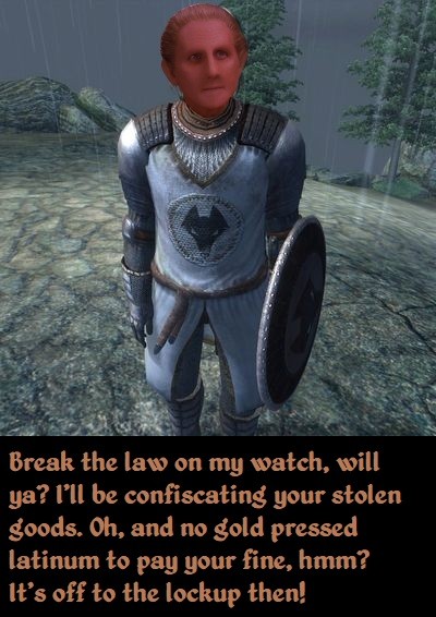 Stop right there, criminal scum!