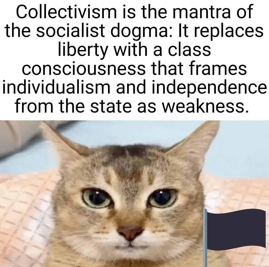 a picture of a cat with a black flag haphazardly  added. The above text reads"Collectivism is the mantra of the socialist dogma: It replaces liberty with a class consciousness that frames individualism and independence from the state as weakness." 