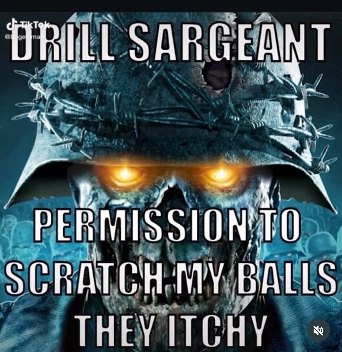 Picture of a skeleton solider captioned: "DRILL SARGENT, PERMISSION TO SCRATCH MY BALLS THEY ITCHY"