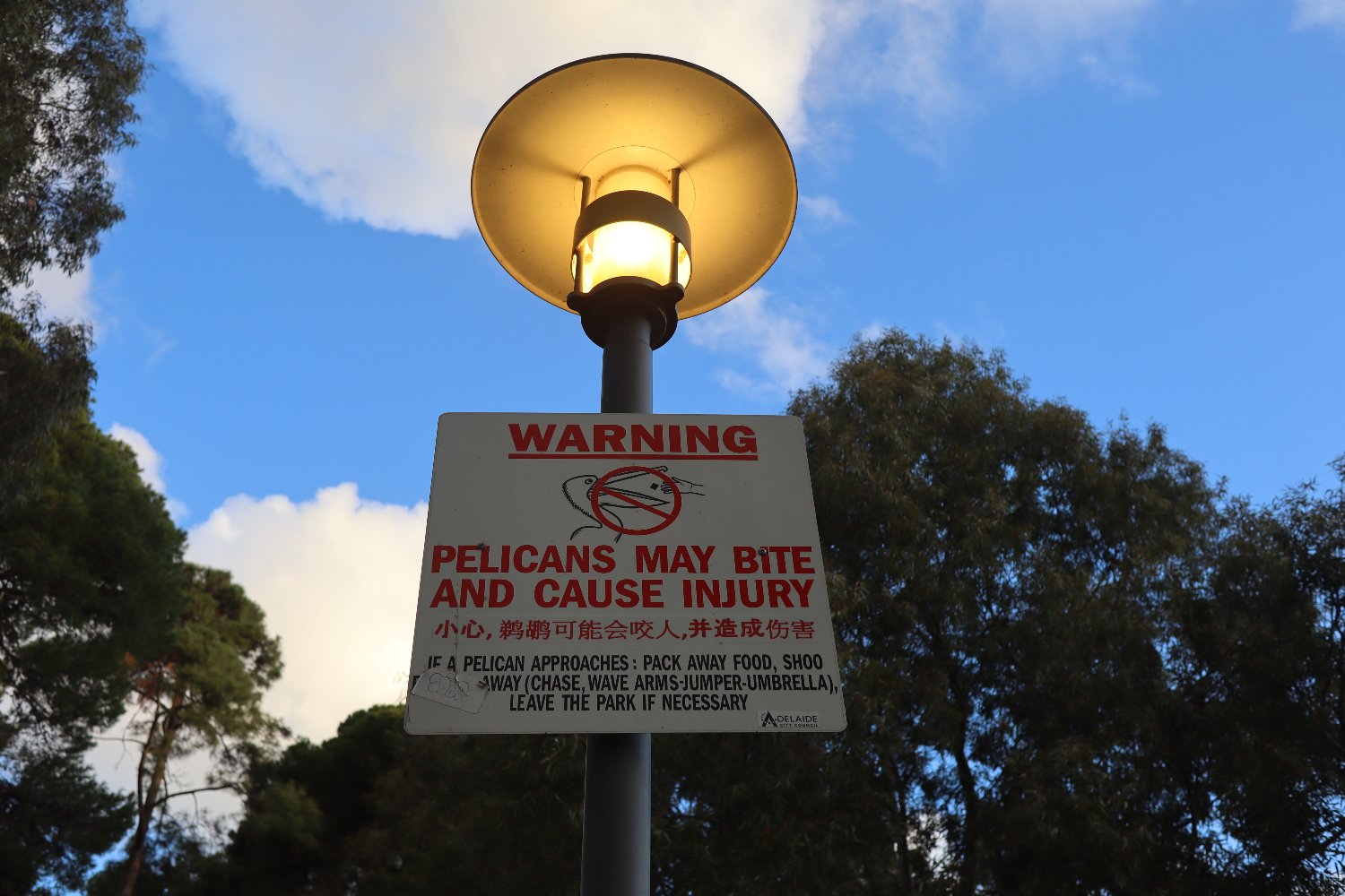 Sign in Adelaide, Australia warning people about pelicans. 
