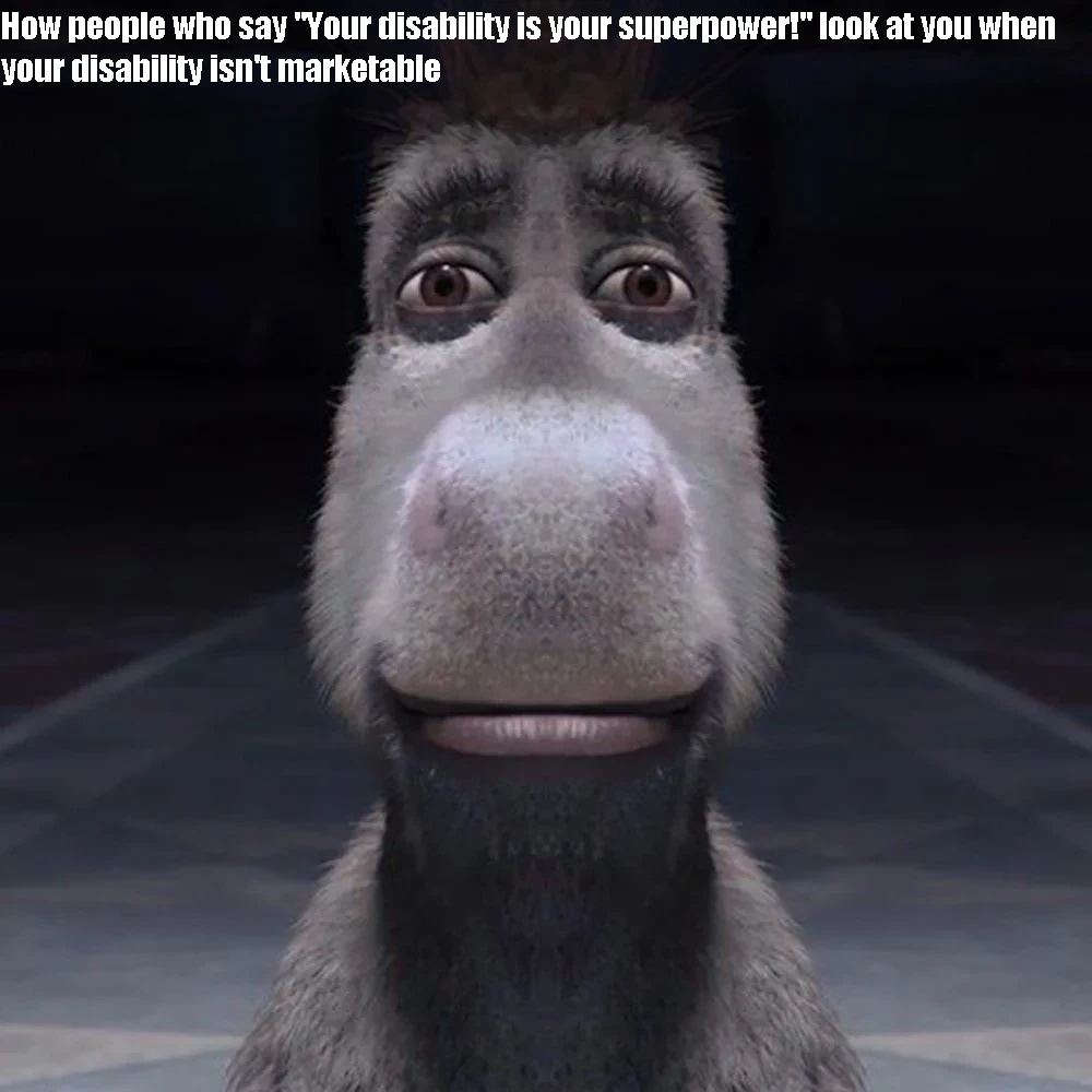 Image of donkey from the Shrek franchise facing the camera, text reads "How people who say "Your disability is your superpower!" look at you when your disability isn't marketable"