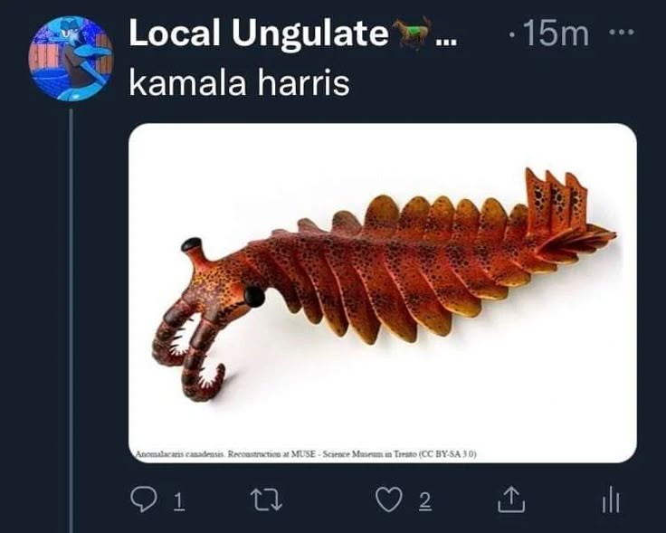 "Kamala Harris" next to a photo of the extinct sea creature "Anomalocaris"
