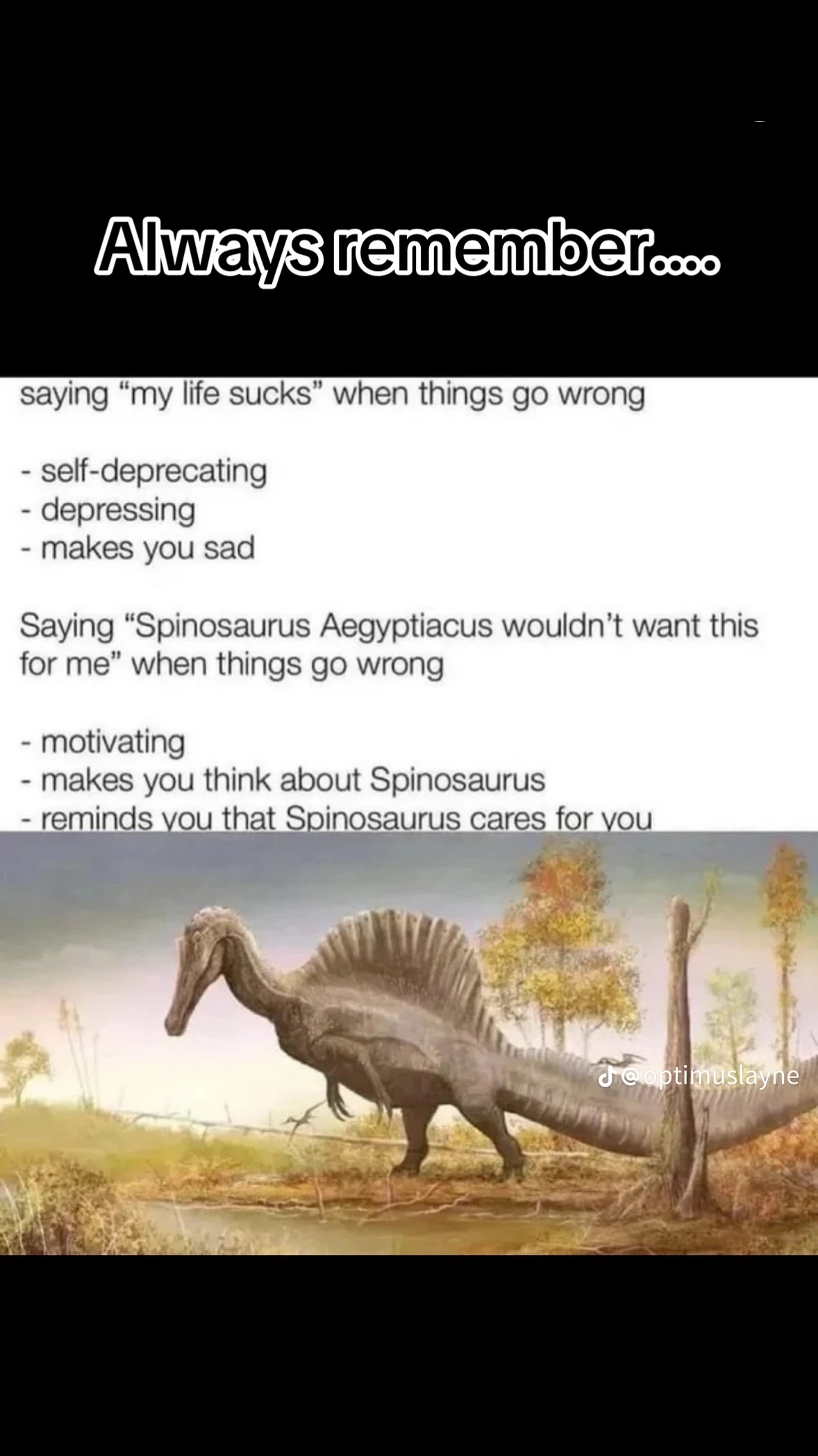 saying "my life sucks" when things go wrong, self-deprecating, depressing, makes you sad. Saying "Spinosaurus Aegypticus wouldn't want this for me" when things go wrong, motivatng, makes you think about Spinosaurus, reminds you that Spinosaurus cares for you